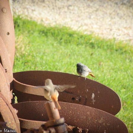 טרקיניה Agriturismo San Matteo מראה חיצוני תמונה