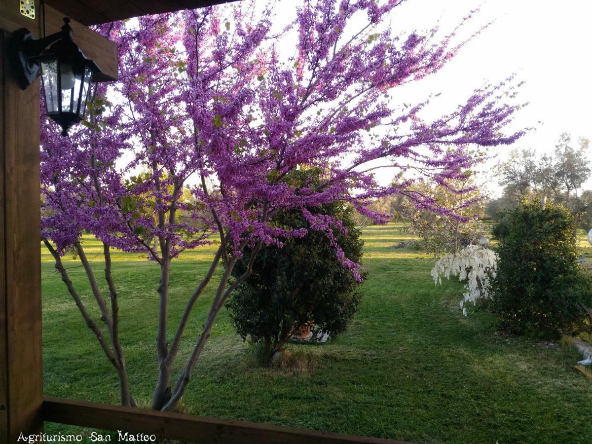 טרקיניה Agriturismo San Matteo מראה חיצוני תמונה