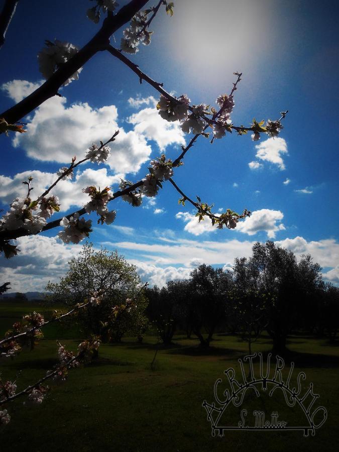 טרקיניה Agriturismo San Matteo מראה חיצוני תמונה