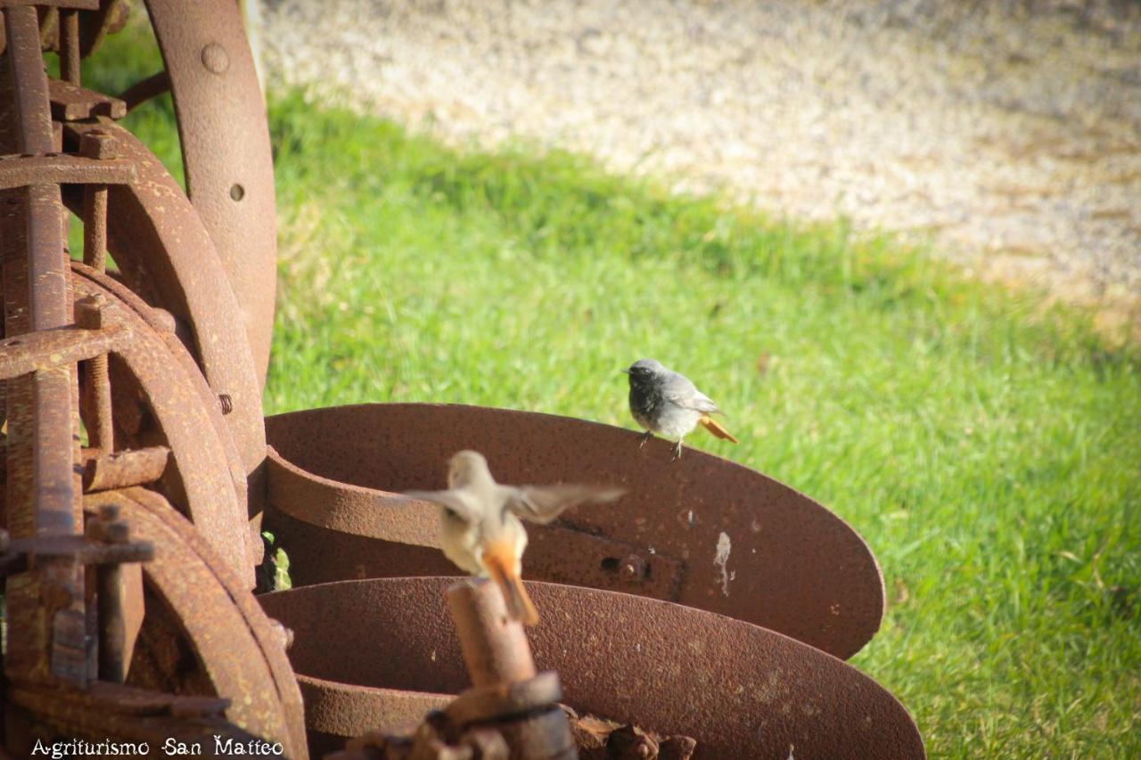 טרקיניה Agriturismo San Matteo מראה חיצוני תמונה